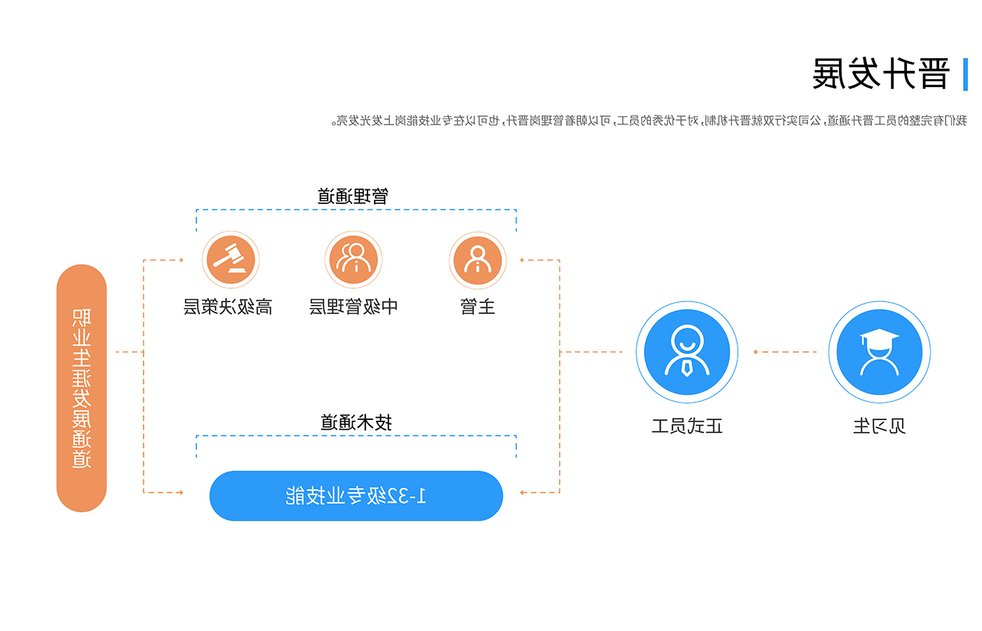 成长规划