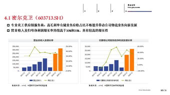 中期策略 寻找供应链管理服务领域的投资机会